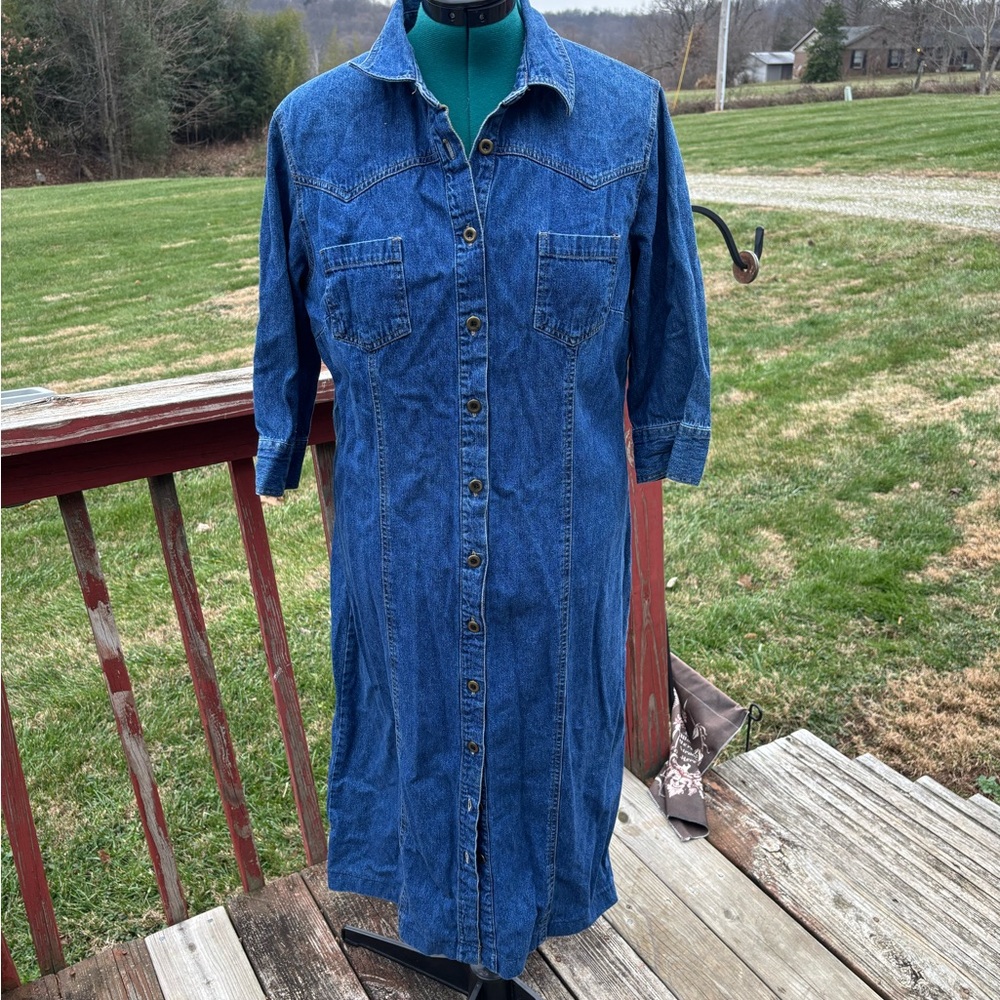 Faded Glory Blue Denim Shirt Dress